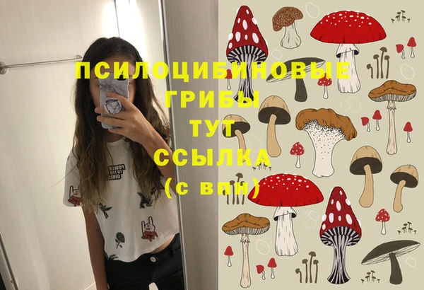 ГАЛЛЮЦИНОГЕННЫЕ ГРИБЫ Киреевск