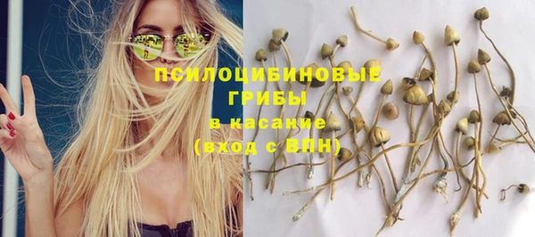 спайс Козельск