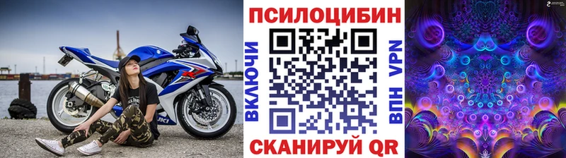 Купить закладки  Власиха  Галлюциногенные грибы MAGIC MUSHROOMS 